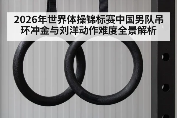 gymnastics still rings